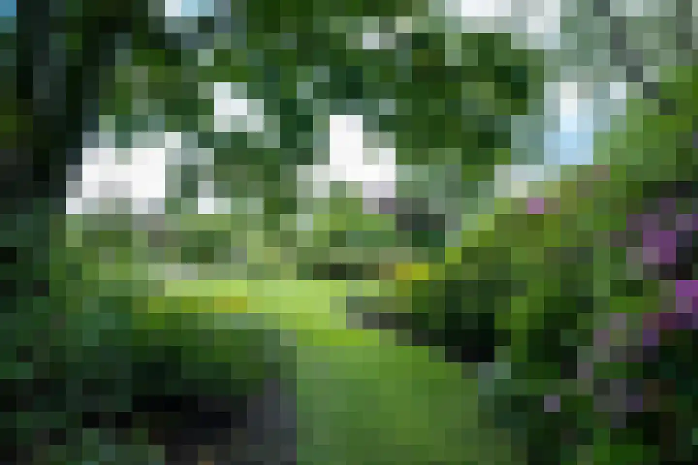 Vreebergen 12 Assen thumbnail 4