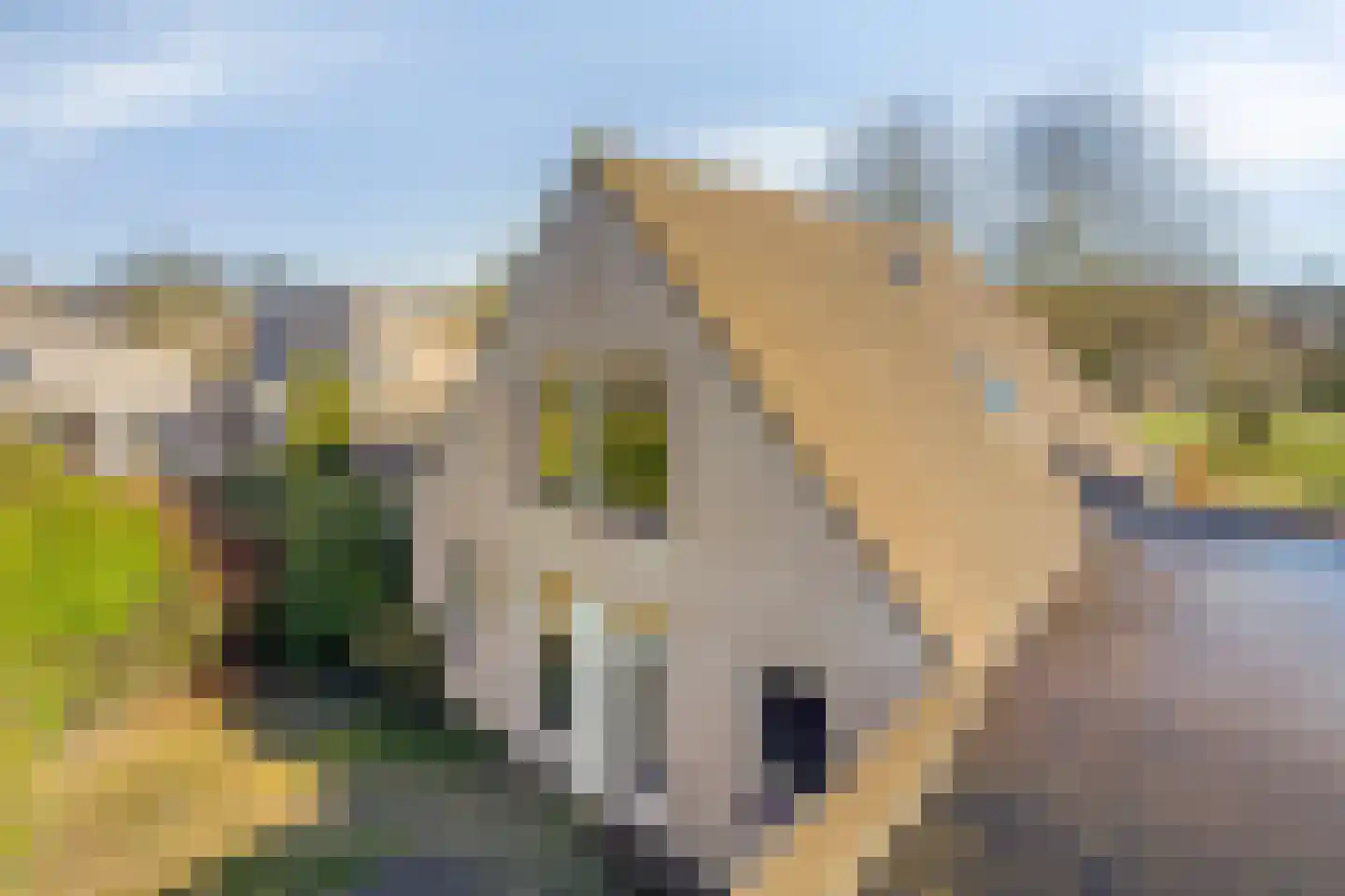 Vreebergen 16 Assen thumbnail 41