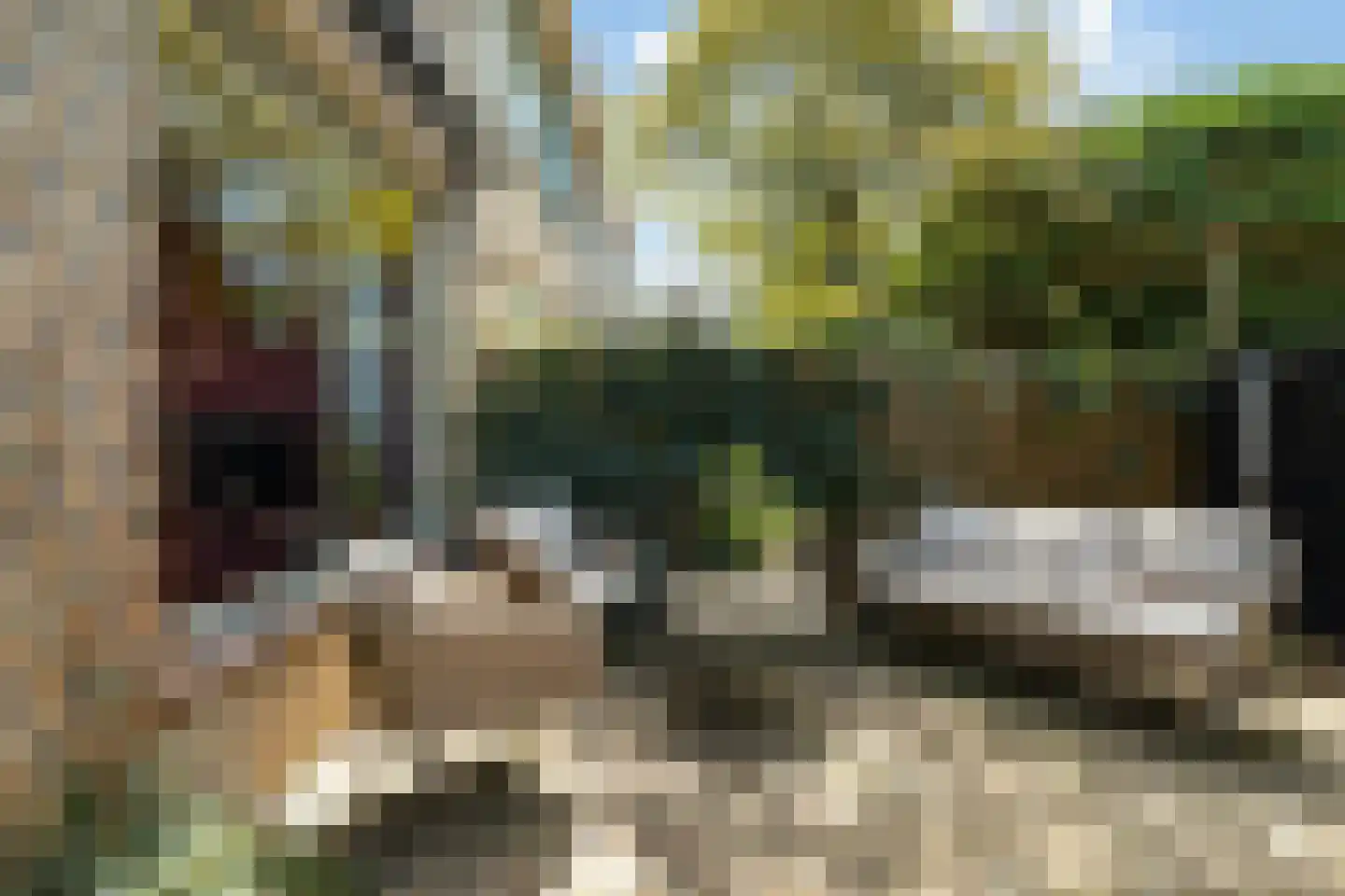 Vreebos 64 Zoetermeer thumbnail 14
