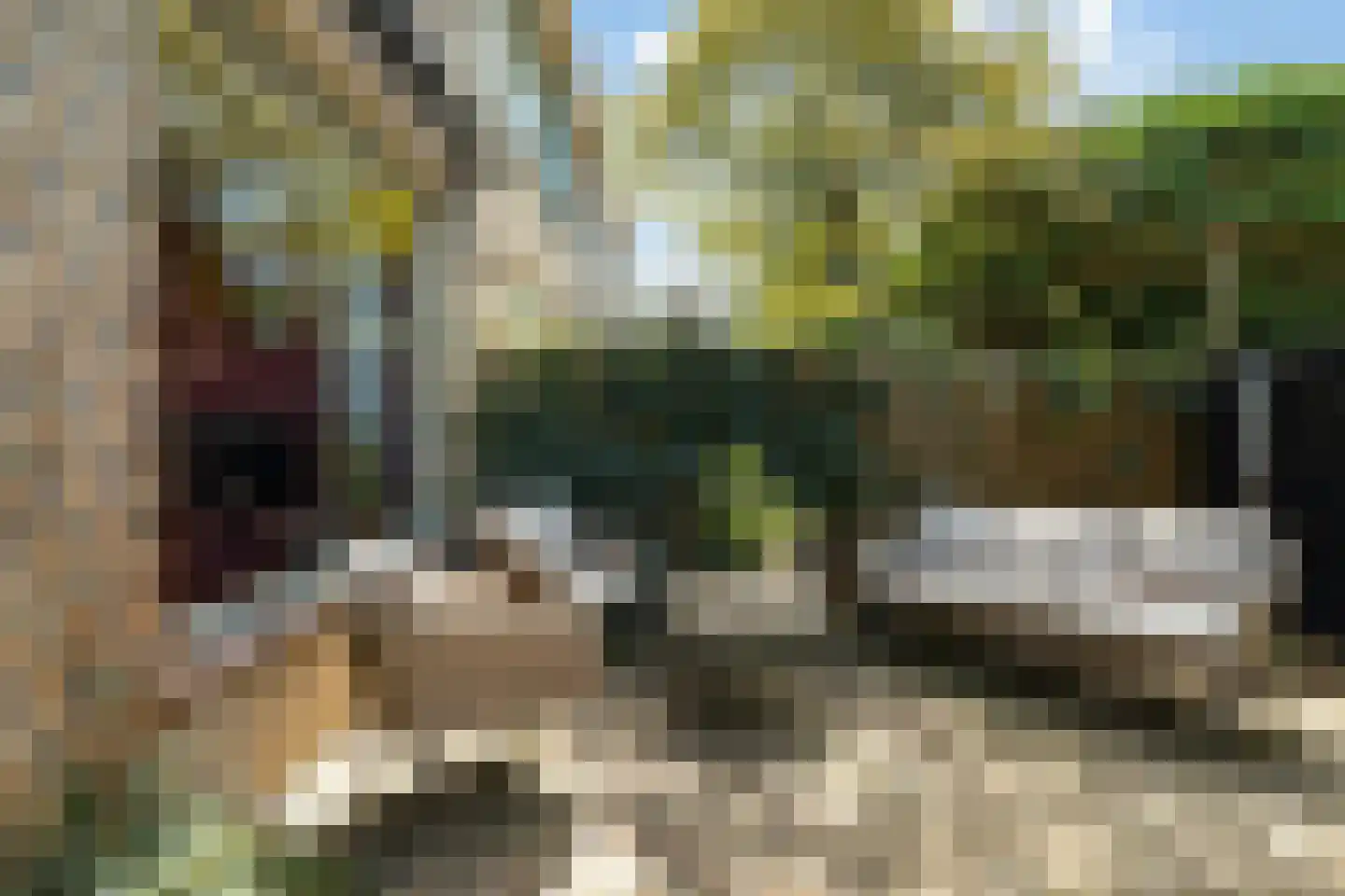 Vreebos 64 Zoetermeer thumbnail 15