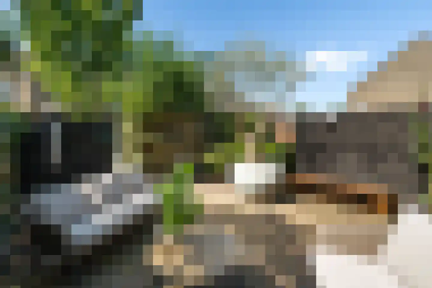 Vreebos 64 Zoetermeer thumbnail 15