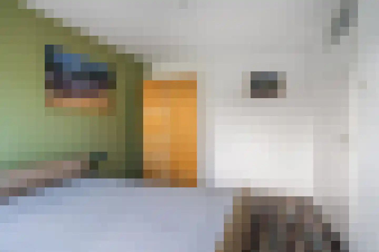 Vreebos 64 Zoetermeer thumbnail 29