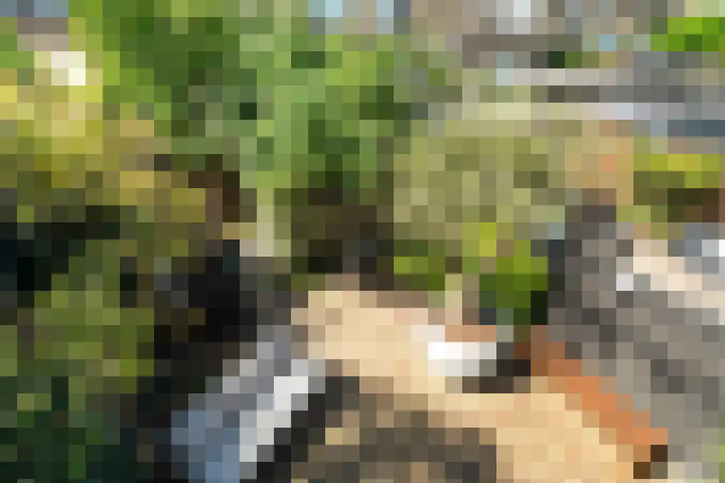 Vreebos 64 Zoetermeer thumbnail 35