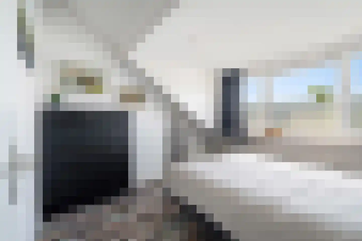 Vreebos 64 Zoetermeer thumbnail 41