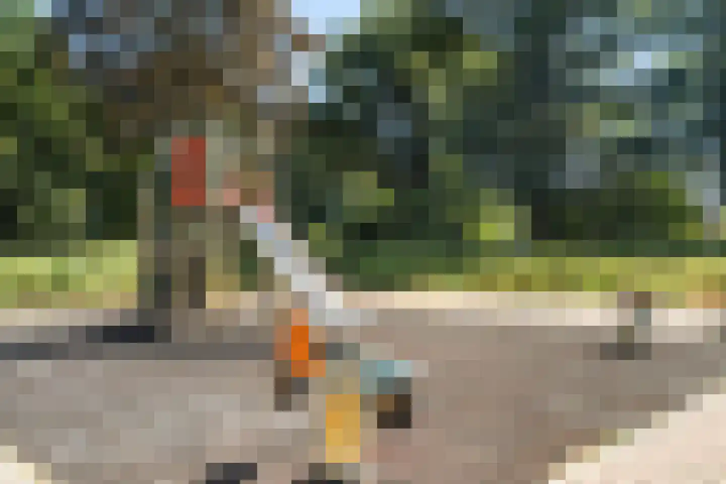Vreebos 64 Zoetermeer thumbnail 52