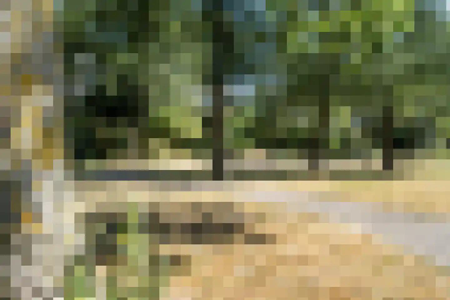 Vreebos 64 Zoetermeer thumbnail 54