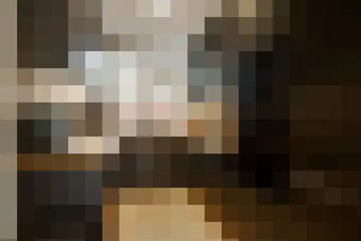 Vreebos 67 Zoetermeer thumbnail 14
