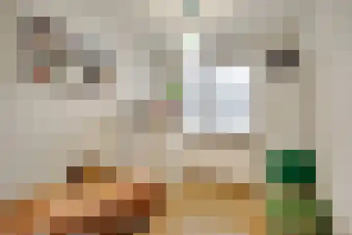 Vreebos 67 Zoetermeer thumbnail 33
