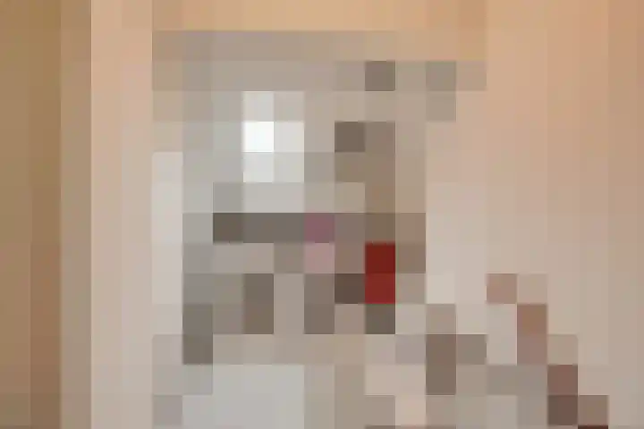 Vreebos 67 Zoetermeer thumbnail 34