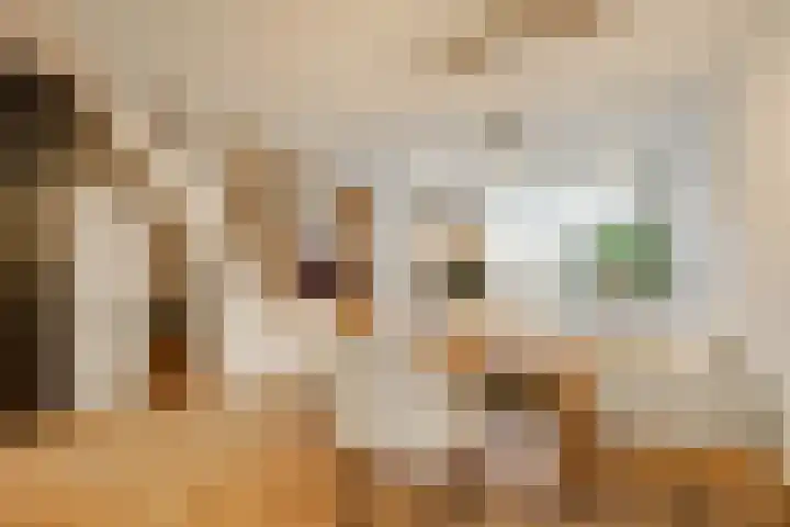 Vreebos 67 Zoetermeer thumbnail 8