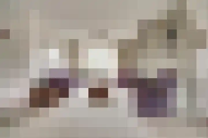 Vreeburghlaan 24 's-Gravenzande thumbnail 12