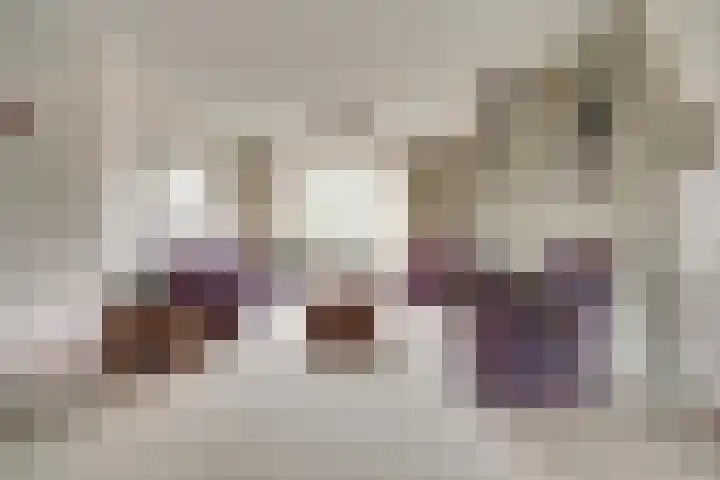Vreeburghlaan 24 's-Gravenzande thumbnail 14