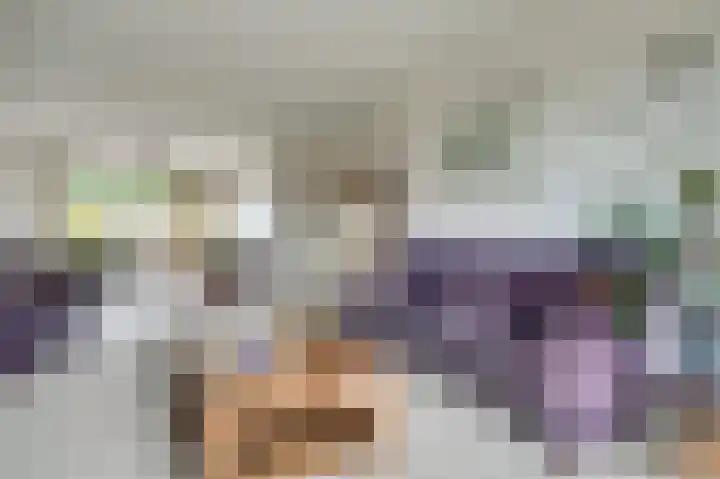 Vreeburghlaan 24 's-Gravenzande thumbnail 15
