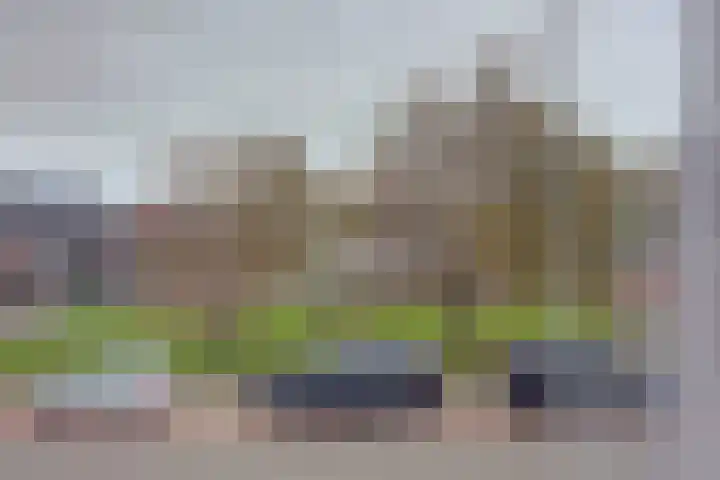 Vreeburghlaan 24 's-Gravenzande thumbnail 27