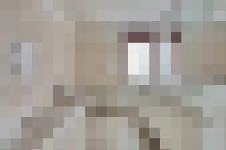 Vreeburghlaan 24 's-Gravenzande thumbnail 32