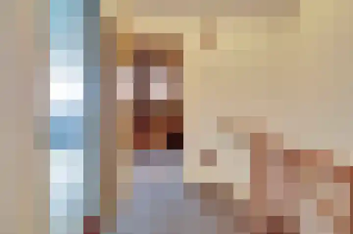 Vreeburghlaan 24 's-Gravenzande thumbnail 34