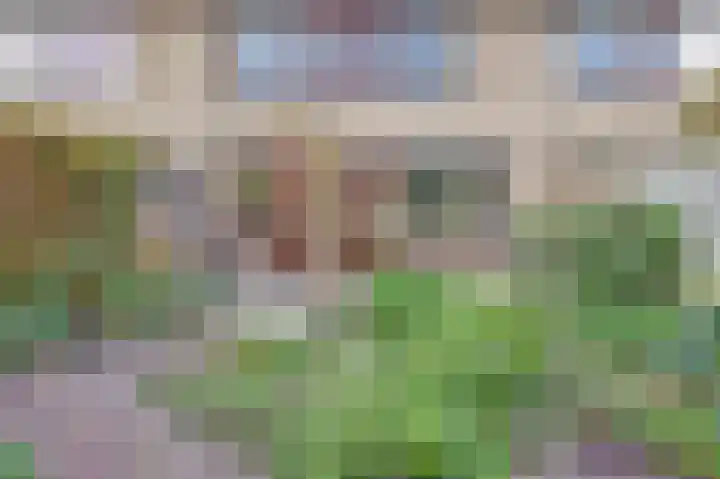 Vreeburghlaan 24 's-Gravenzande thumbnail 38
