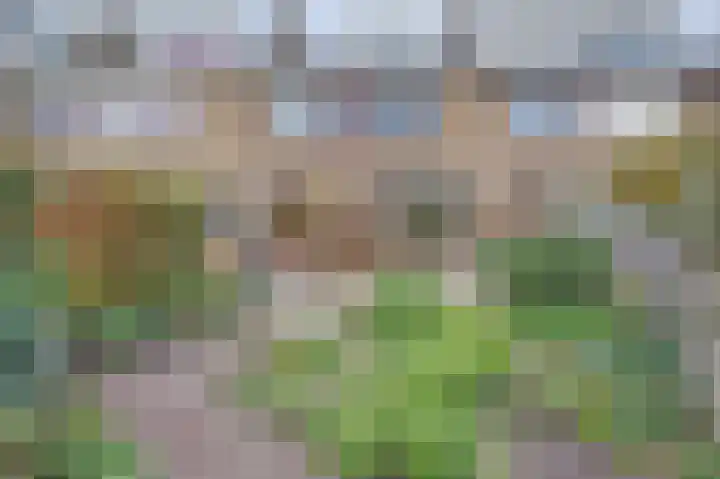 Vreeburghlaan 24 's-Gravenzande thumbnail 39
