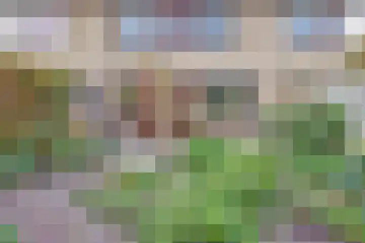 Vreeburghlaan 24 's-Gravenzande thumbnail 4