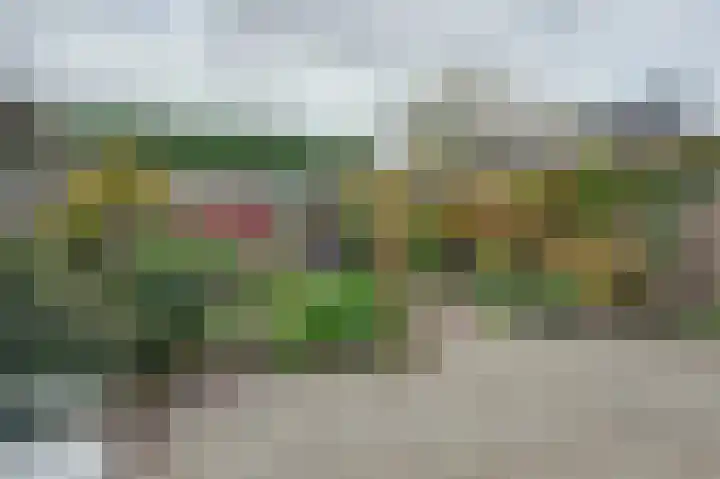 Vreeburghlaan 24 's-Gravenzande thumbnail 41