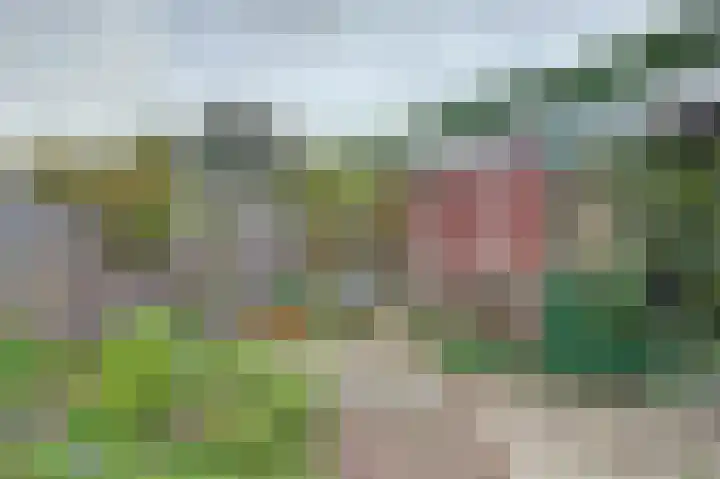 Vreeburghlaan 24 's-Gravenzande thumbnail 43