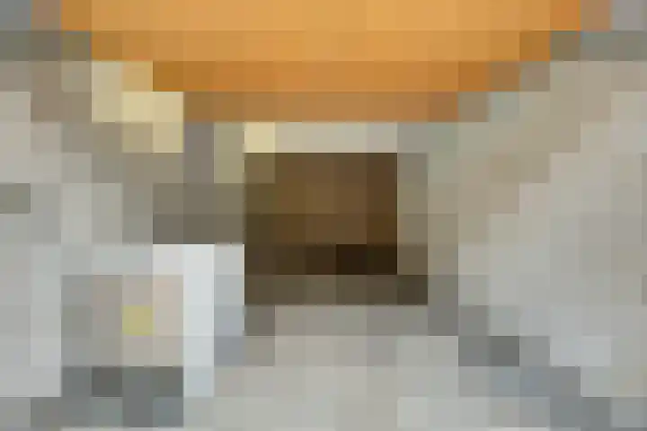 Vreeburghlaan 24 's-Gravenzande thumbnail 47