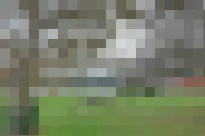 Vreeburghlaan 24 's-Gravenzande thumbnail 49