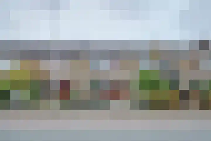 Vreeburghlaan 24 's-Gravenzande thumbnail 50