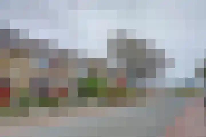 Vreeburghlaan 24 's-Gravenzande thumbnail 52