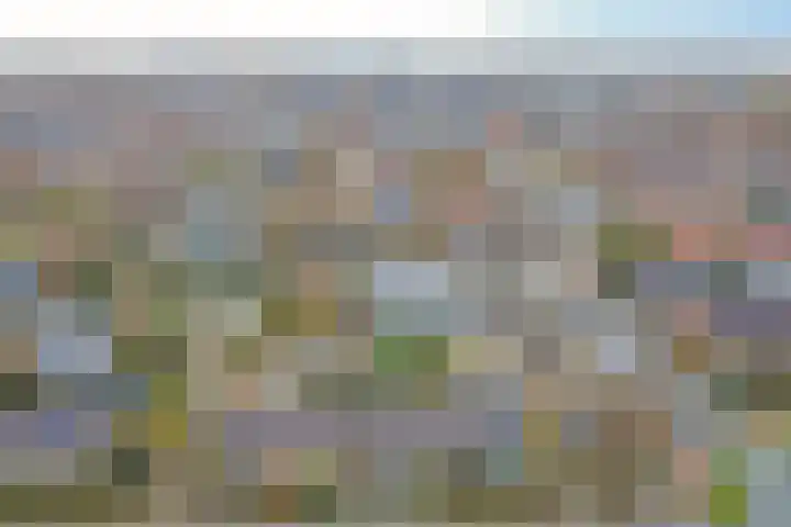 Vreeburghlaan 24 's-Gravenzande thumbnail 54