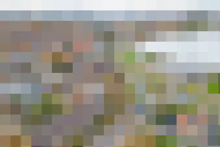 Vreeburghlaan 24 's-Gravenzande thumbnail 56