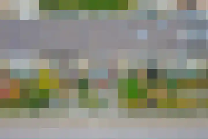 Vreeburghlaan 24 's-Gravenzande thumbnail 58