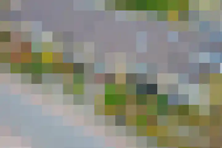 Vreeburghlaan 24 's-Gravenzande thumbnail 59