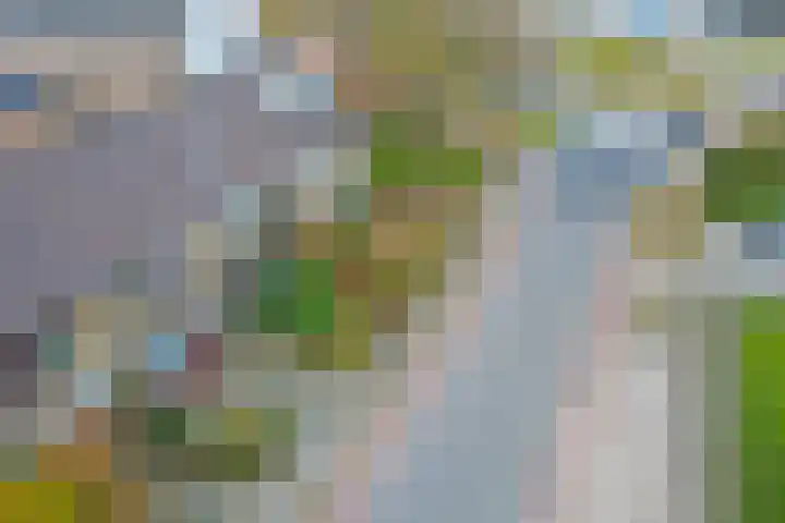 Vreeburghlaan 24 's-Gravenzande thumbnail 60