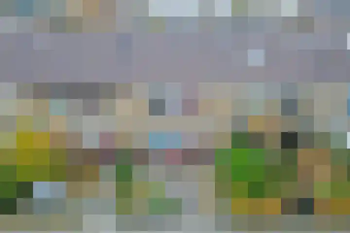 Vreeburghlaan 24 's-Gravenzande thumbnail 61
