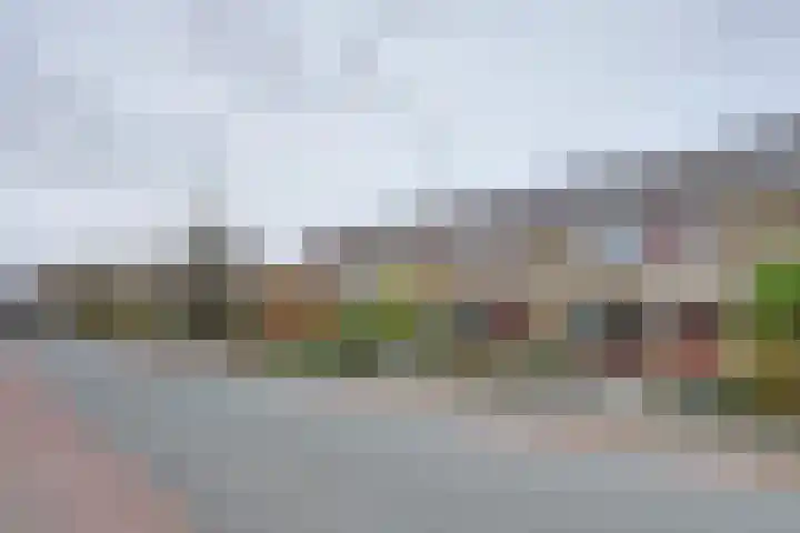 Vreeburghlaan 24 's-Gravenzande thumbnail 9