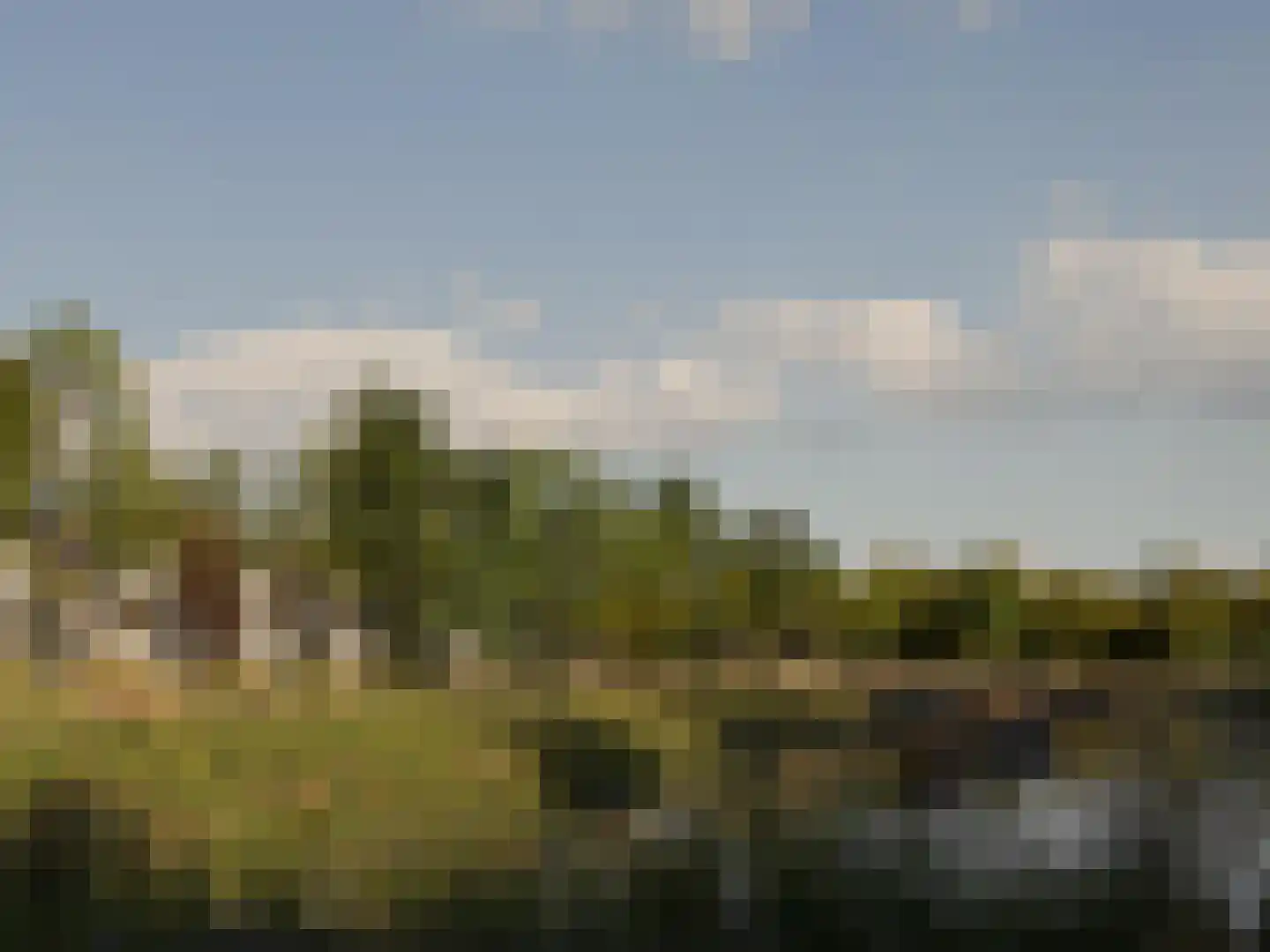 Vreeburghlaan 25 's-Gravenzande thumbnail 5