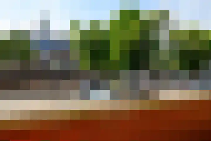 Vreeburghlaan 5 ap1 's-Gravenzande thumbnail 13
