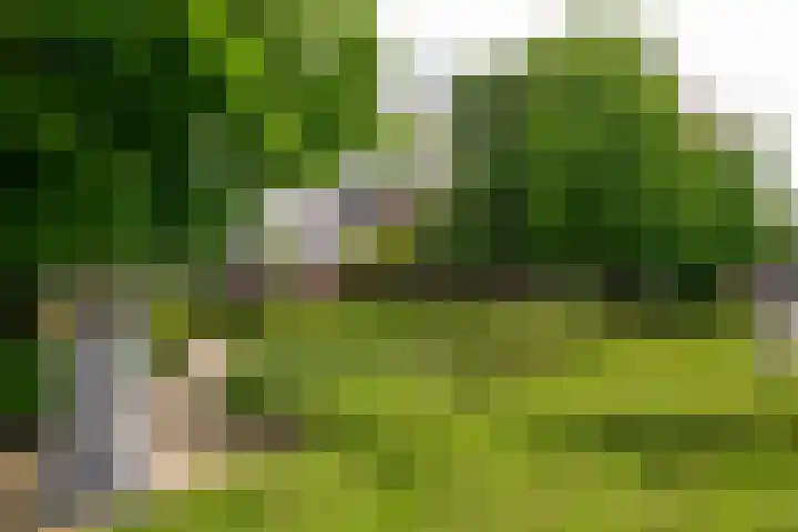 Vreeburghlaan 5 ap1 's-Gravenzande thumbnail 14