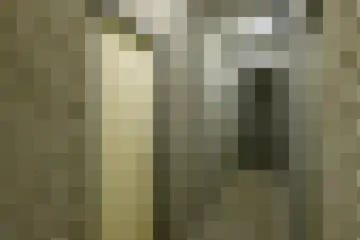 Vreeburghlaan 5 ap1 's-Gravenzande thumbnail 24