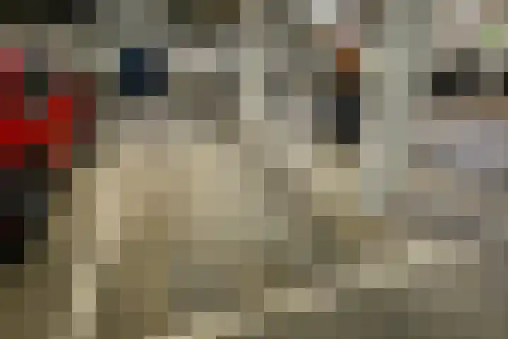 Vreeburghlaan 5 ap1 's-Gravenzande thumbnail 25