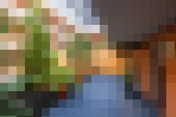 Vreeburghlaan 5 ap1 's-Gravenzande thumbnail 29