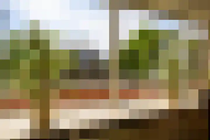 Vreeburghlaan 5 ap1 's-Gravenzande thumbnail 4
