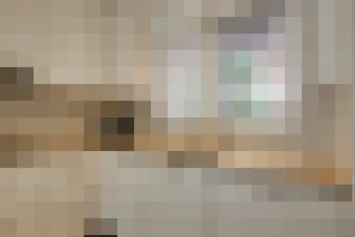 Vreeburghlaan 5 ap1 's-Gravenzande thumbnail 8