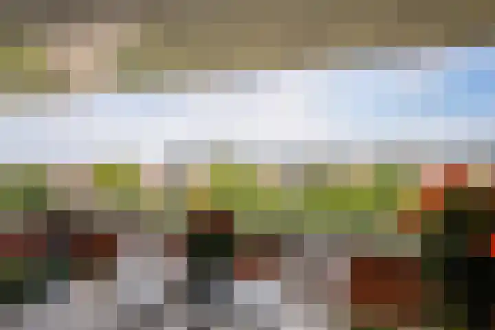 Vreeburghlaan 5 ap27 's-Gravenzande thumbnail 17