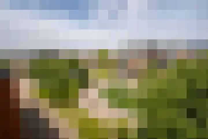 Vreeburghlaan 5 ap27 's-Gravenzande thumbnail 18
