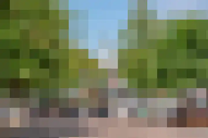 Vreeburghlaan 5 ap27 's-Gravenzande thumbnail 34