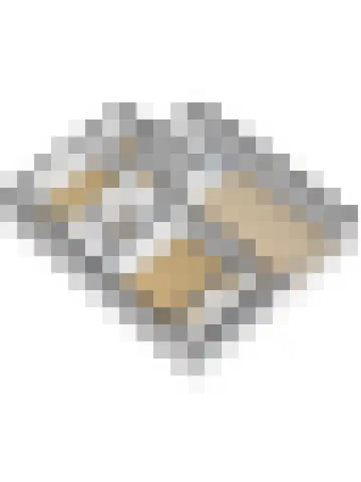 Vreeburghlaan 5 ap31 's-Gravenzande thumbnail 41