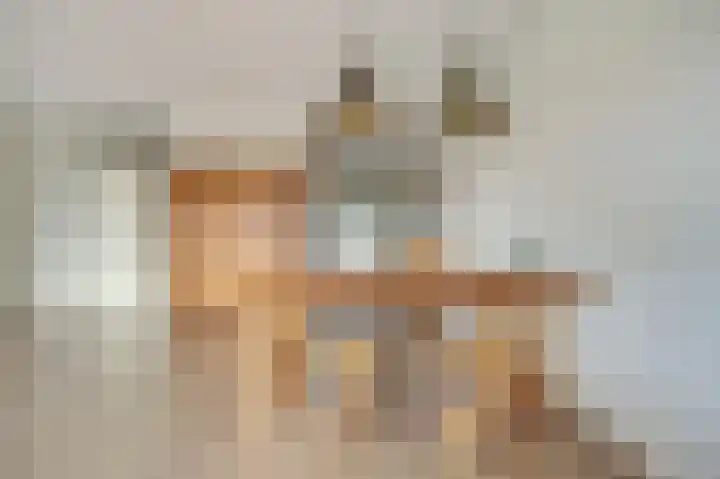 Vreeburghlaan 5 ap31 's-Gravenzande thumbnail 8