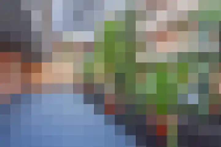 Vreeburghlaan 5 ap6 's-Gravenzande thumbnail 10